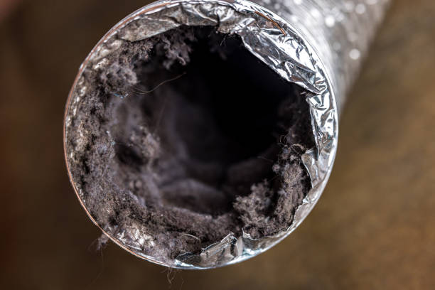 Best HVAC Air Duct Cleaning  in Coushatta, LA